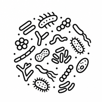 Lactic Acid Bacteria Icon